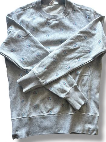 Pull Champion gris