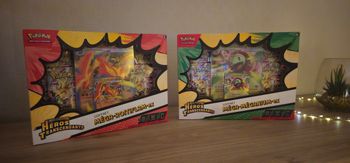 coffret pokémon méga-méganium ex et coffret roitiflam ex - héros transcendants M2.5 