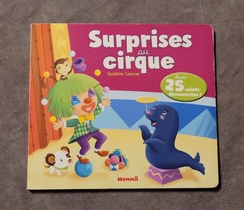 Surprises vacances au cirque Sandrine Lamour (Illustrations)