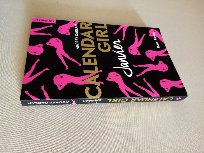 Livre New Romance (Janvier) - photo numéro 4