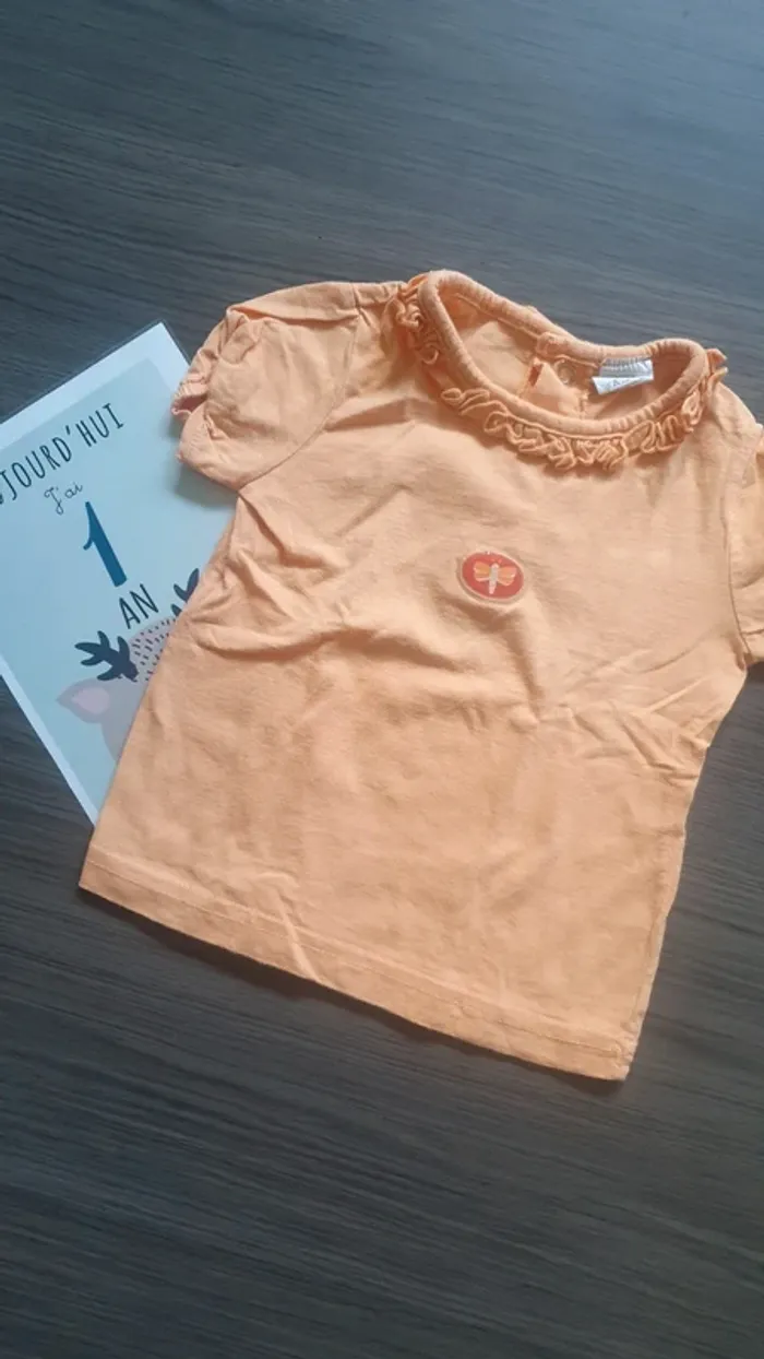 Lot 12 mois manche courte fille bodie Tee-shirt - photo numéro 7