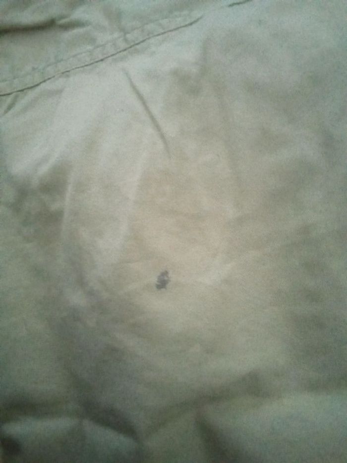 Chrmise - photo numéro 3