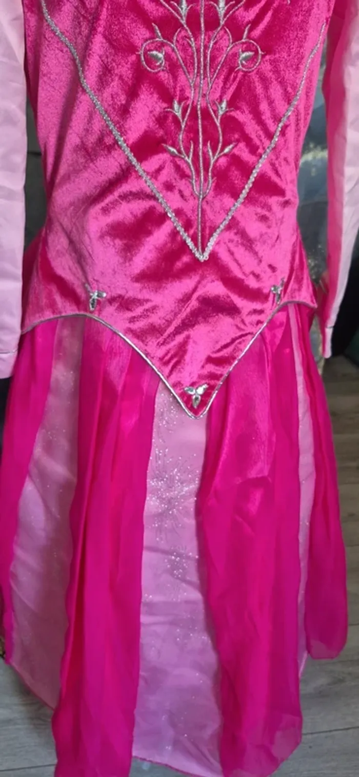 Robe princesse disney - photo numéro 3