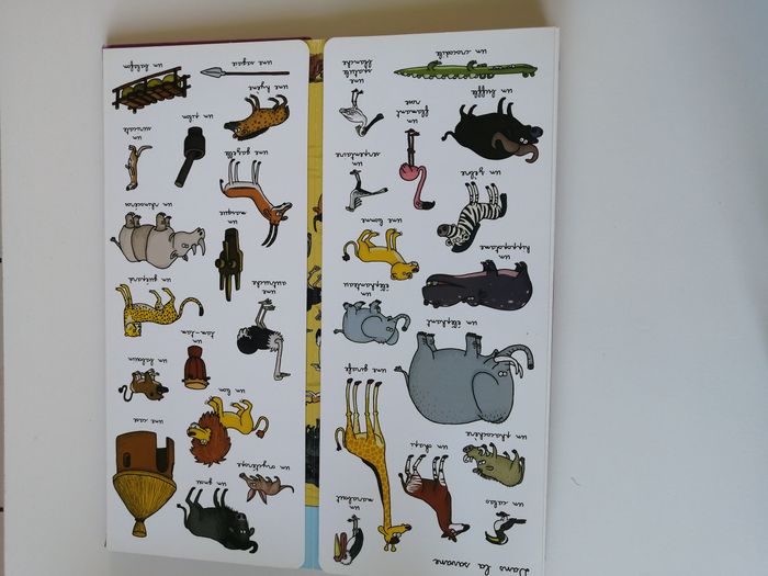 livre cherche et trouve - photo numéro 4