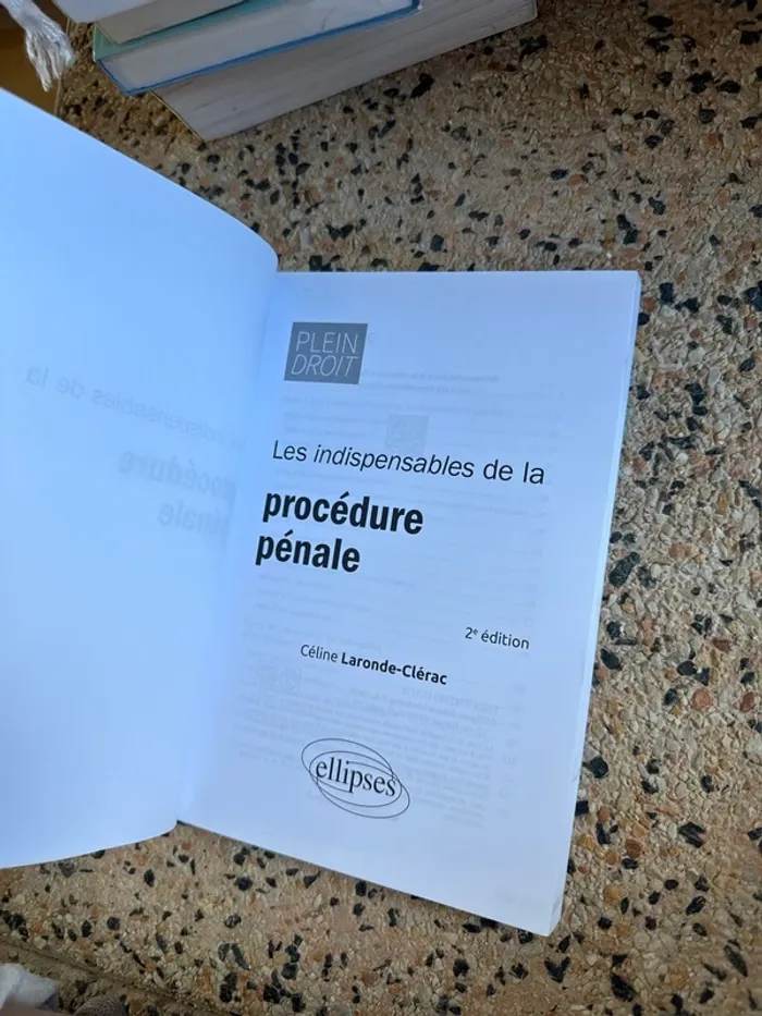 Livre les indispensables de la procédure pénale - photo numéro 4