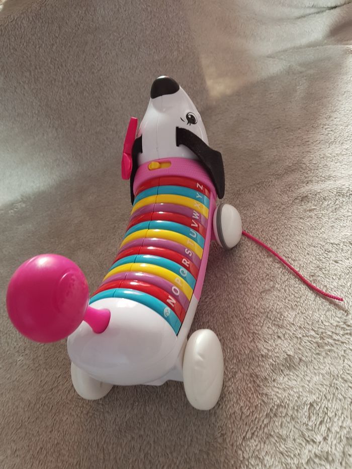 Chien traîneau - photo numéro 3