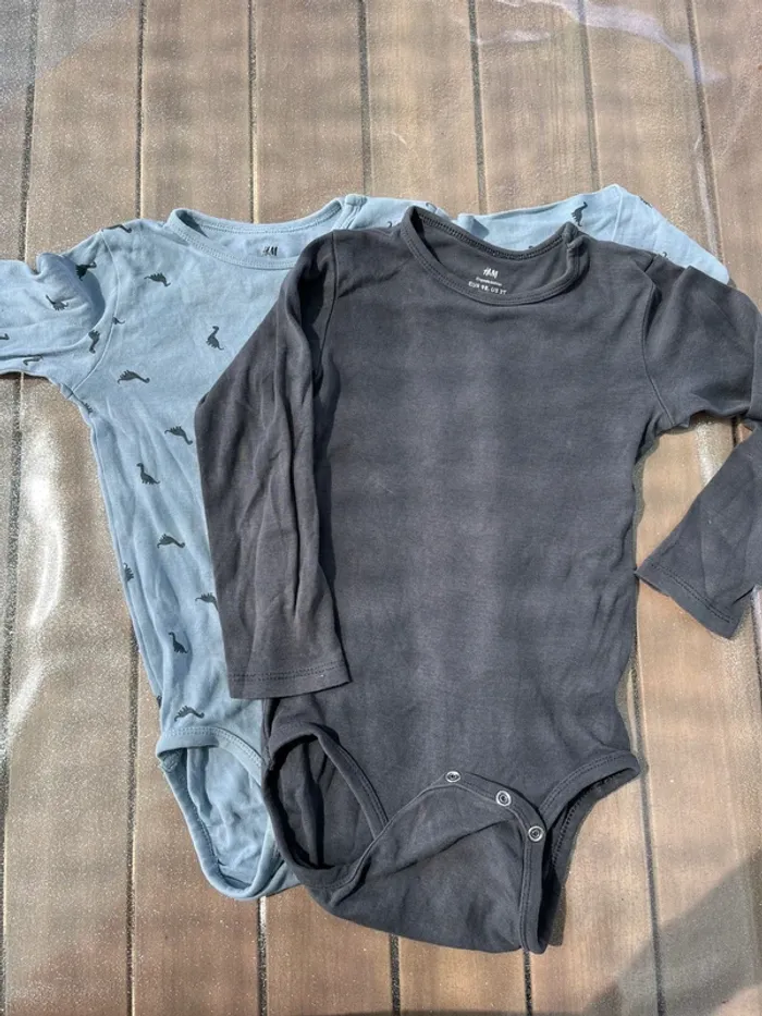 Bodies