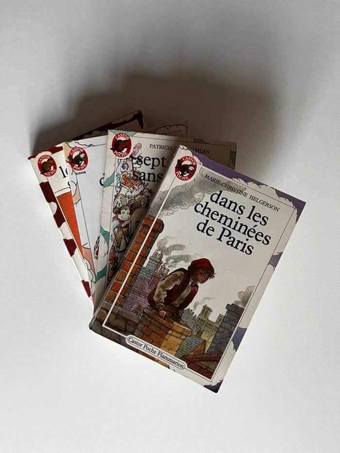 Lot Romans Castor Poche Flammarion