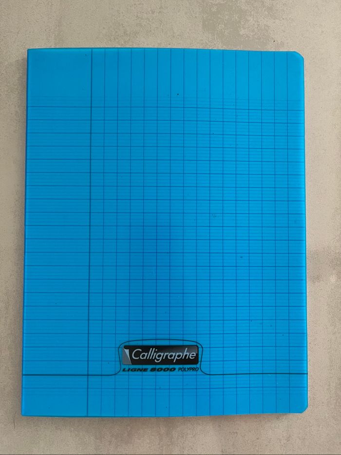 Cahiers étiquettes intercalaires pochettes transparentes - photo numéro 5