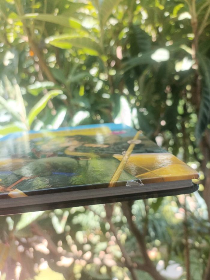 Livre la planète au trésor Disney. - photo numéro 6