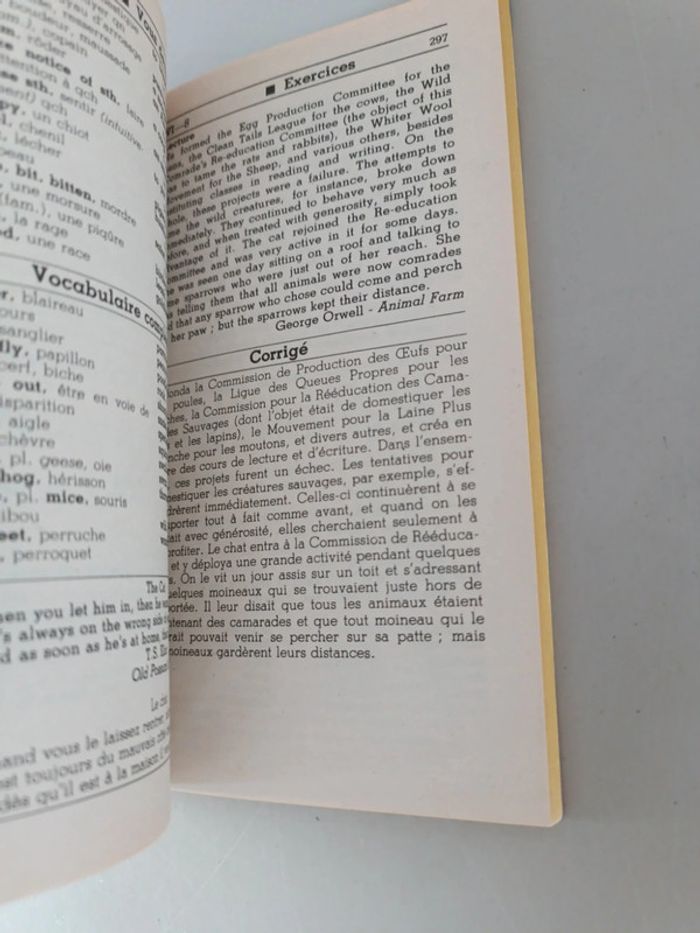 Anglais pratiquer perfectionnement pour maîtriser la langue et son environnement - photo numéro 9
