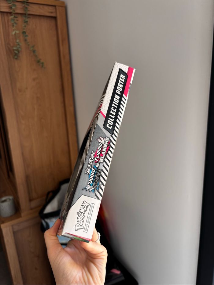 Coffret poster foudre noir flamme blanche - photo numéro 3