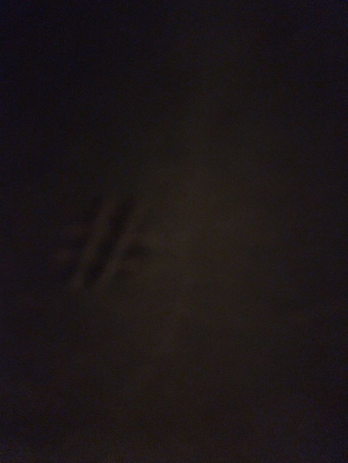 Polo garçon - photo numéro 3