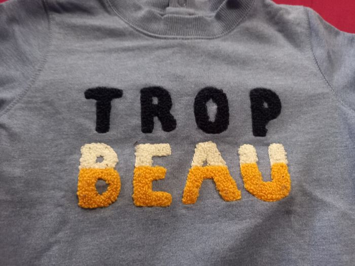 Sweat trop beau - photo numéro 3