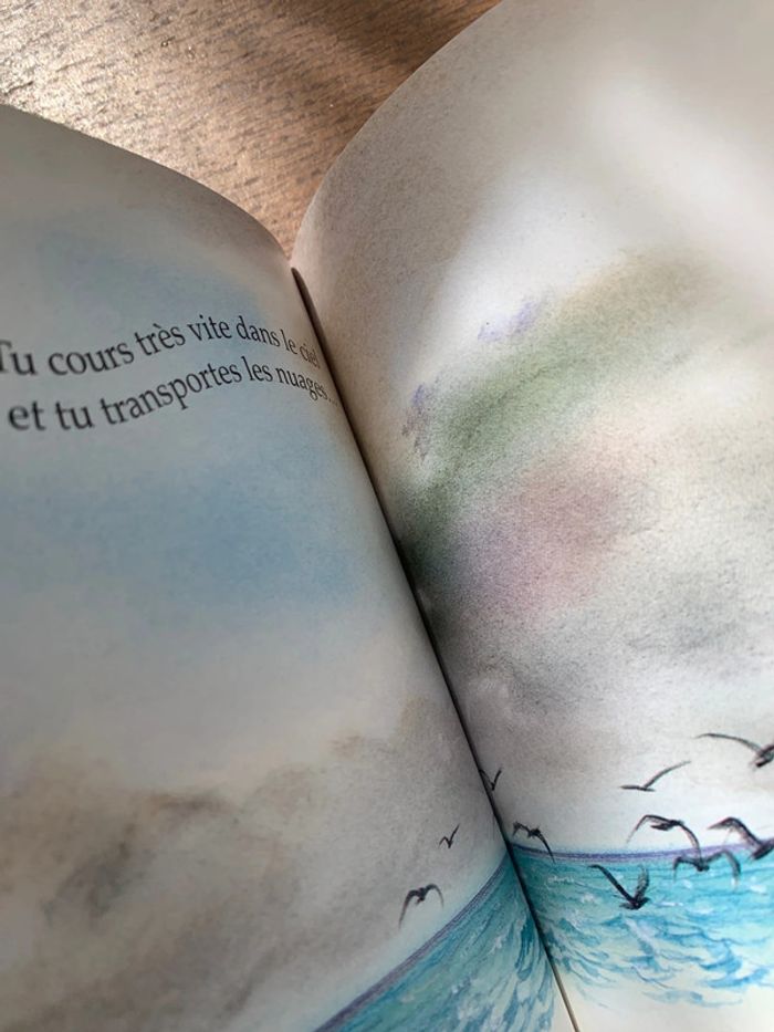 Le vent - photo numéro 7