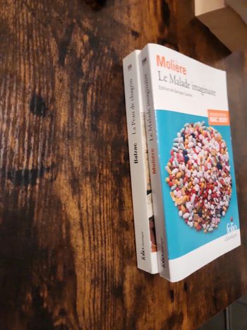 Lot de 2 livre Folio