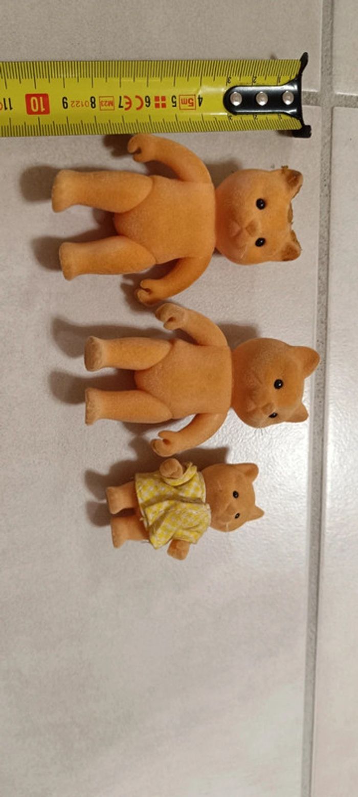 Famille chat - photo numéro 2