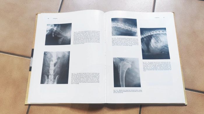 Radiographic positioning of small animals - photo numéro 2