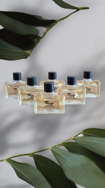 Lot de 6 miniatures de parfum Neuves 🌸