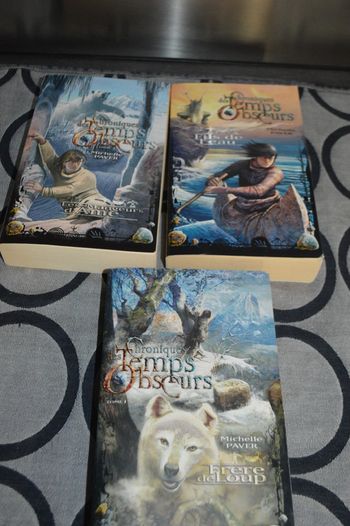 Lot Tome 1/2/3 Chroniques des temps obscurs