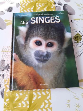 Livre :  Le monde  merveilleux des animaux  en  photos les singes
