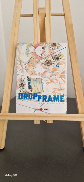 Drop Frame T4