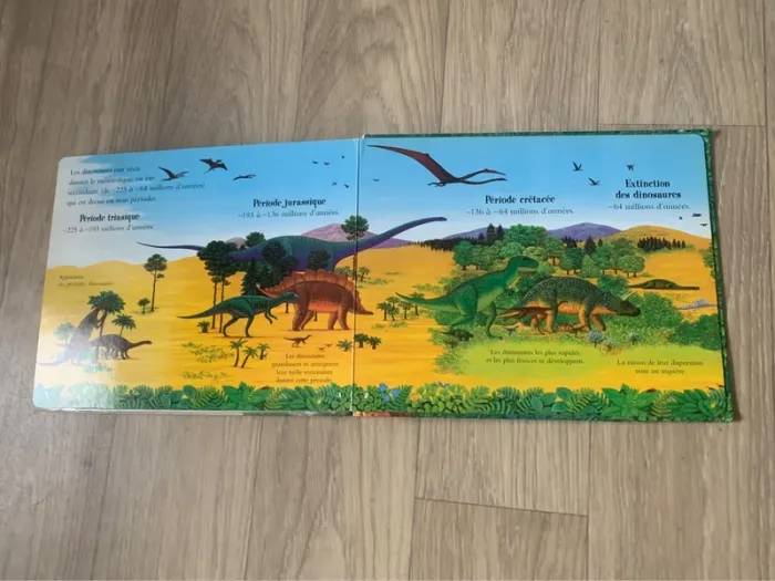 Dinopuzzle - Anne Sharp - Un livre-puzzle seuil jeunesse - photo numéro 8