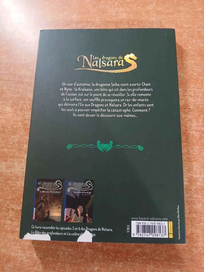 Les dragons de nalsara le danger venu de la mer - photo numéro 2