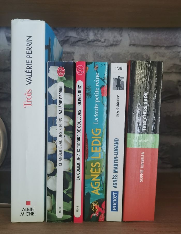 6 romans  dont 2 de Valérie Perrin - photo numéro 4