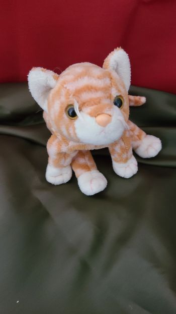 TY Beanie Babies 1999 AMBER Le Chat Kitty Tabby