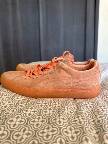 Puma rose