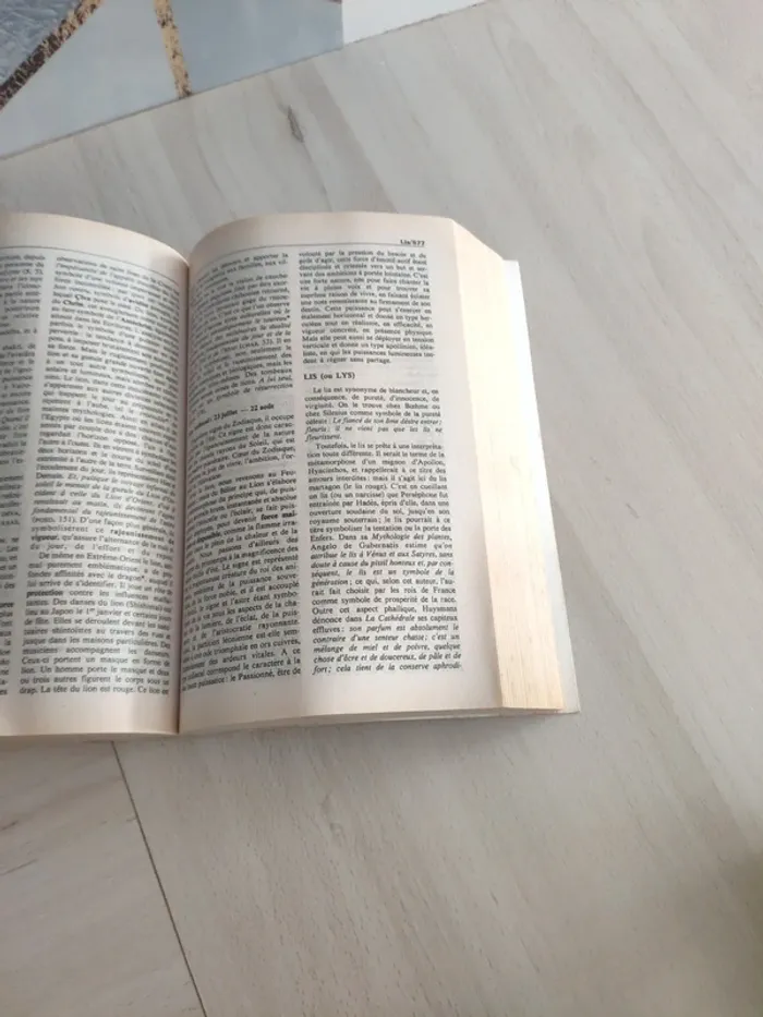 Livre dictionnaire des symboles mythes rêves coutumes gestes formes nombres Bouquins - photo numéro 11