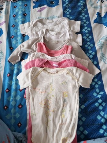 Lot de 7bodies  6mois