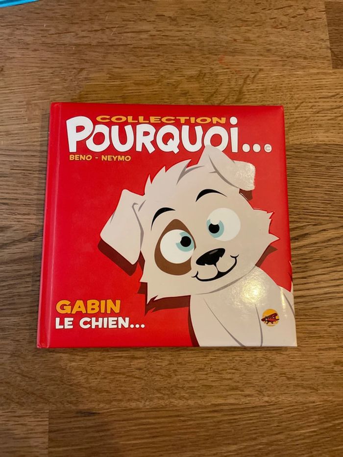 Livre Collection Pourquoi Gabin Le chien