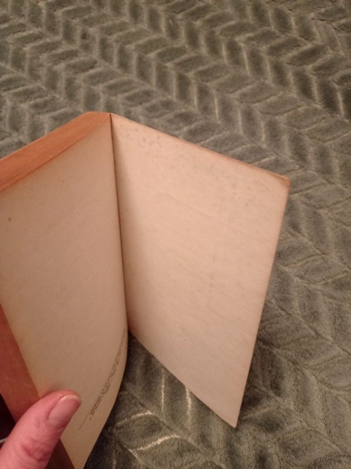 La mystérieuse affaire de styles, Agatha Christie - photo numéro 9