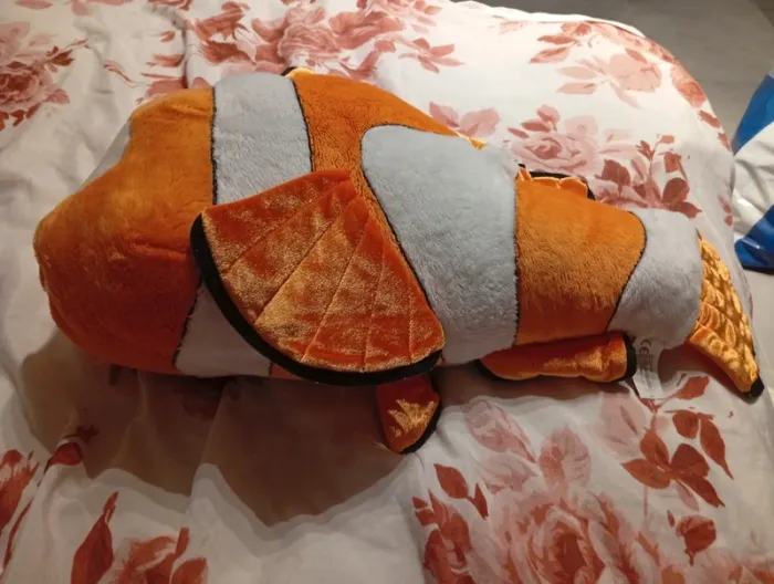 Gros nemo - photo numéro 2