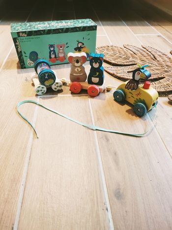 🦜Train d'activité en bois - Jungle avec animaux et formes à empiler marque Moulin Roty
