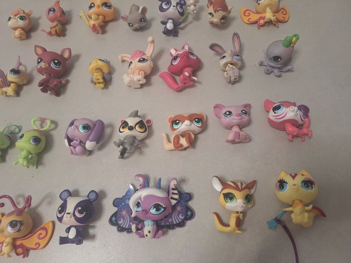 Lot 34 petshop - photo numéro 5