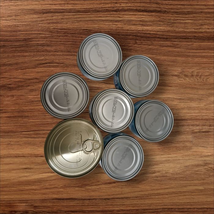 Thon lot de 7 - photo numéro 2