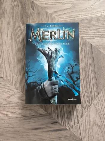 Livre Merlin Tome 1