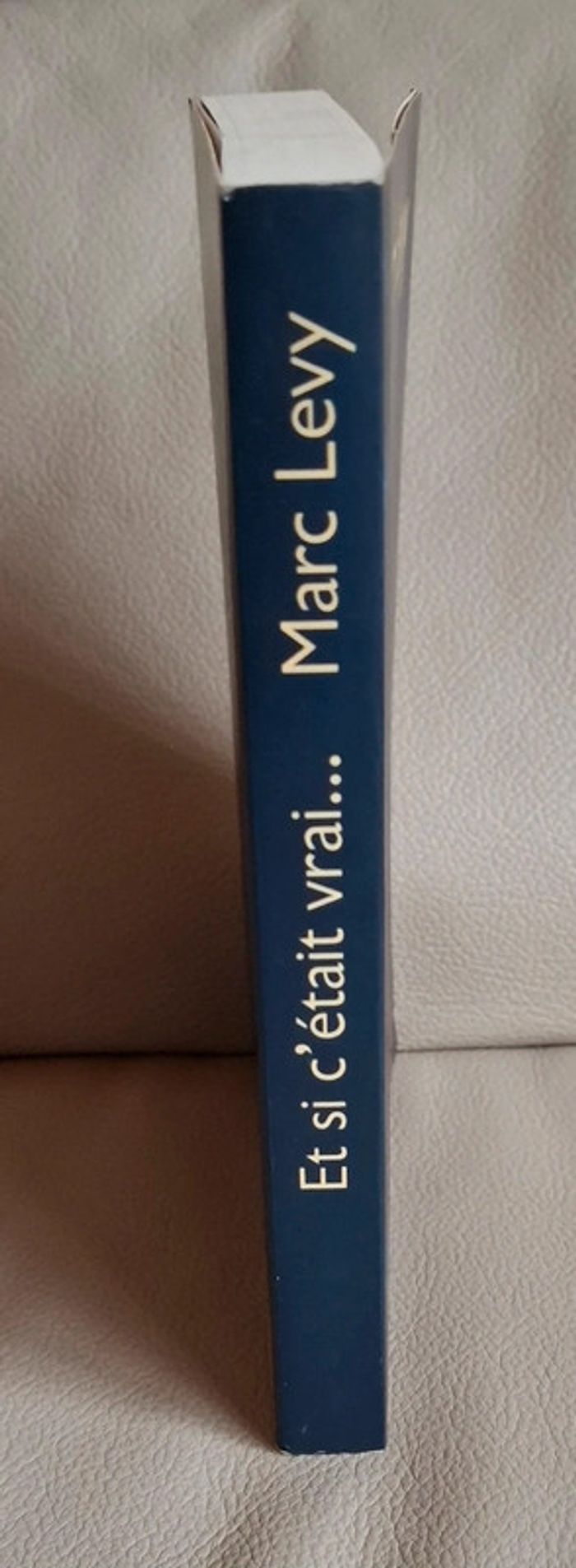 Roman et si c était vrai de Marc Lévy - photo numéro 3