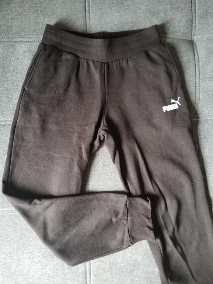 Jogging puma