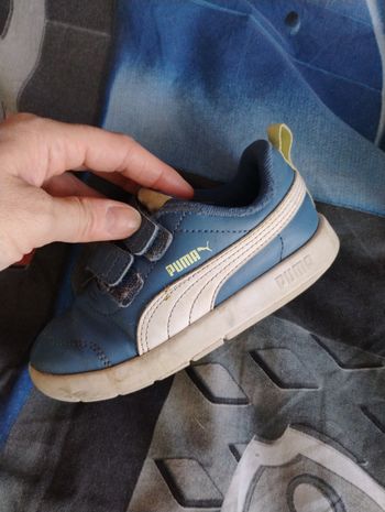 Basket puma 
