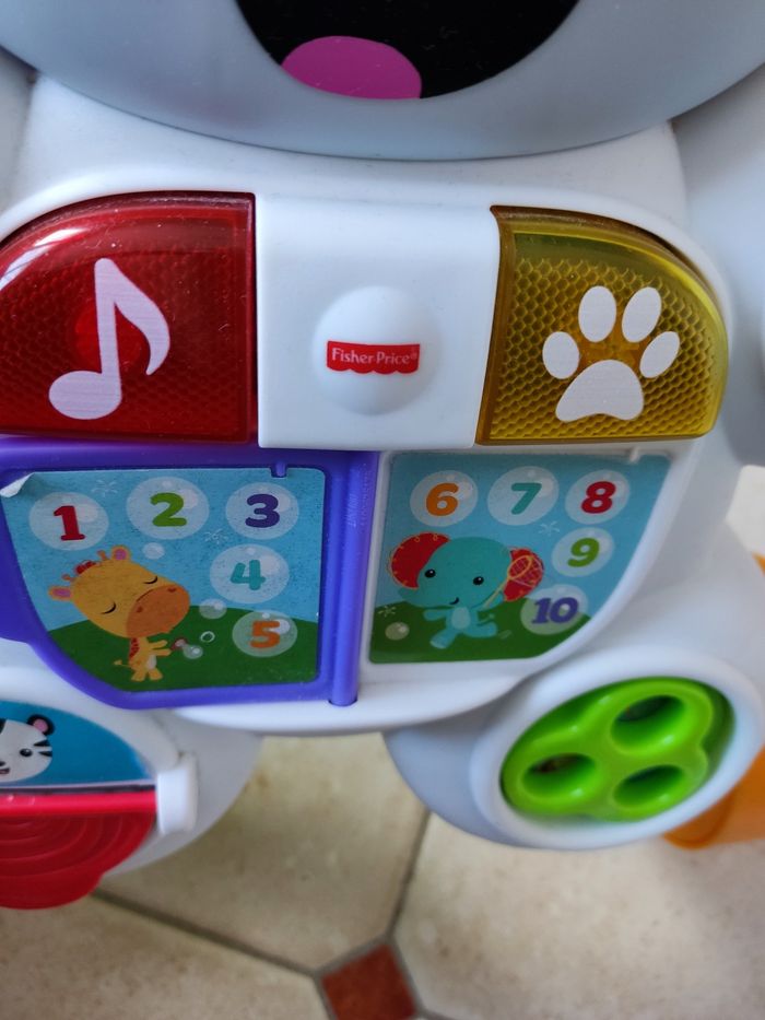 Trotteur Zèbre - photo numéro 5