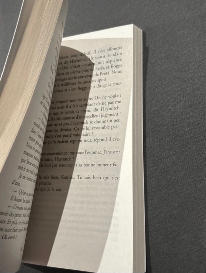 Livres  Hunger Game - photo numéro 7