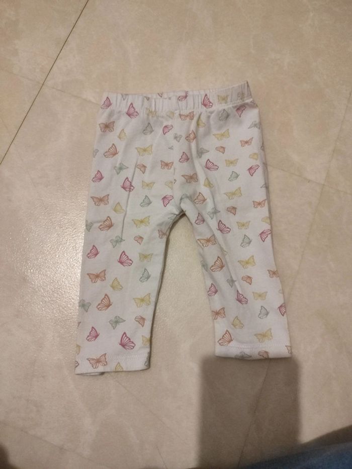 Ensemble papillons - photo numéro 2