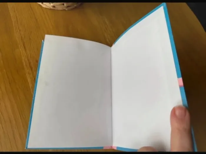 Livre Bibliothèque rose Souvenirs d'enfance Cendrillon - photo numéro 11