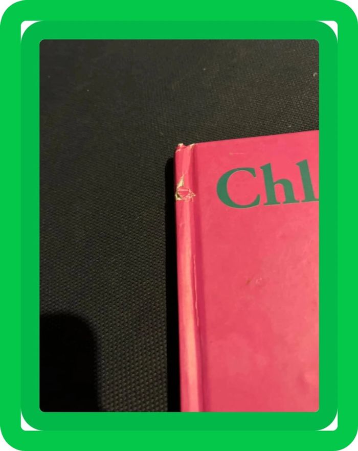 Livre antoon krings Chloé l araignée - photo numéro 2