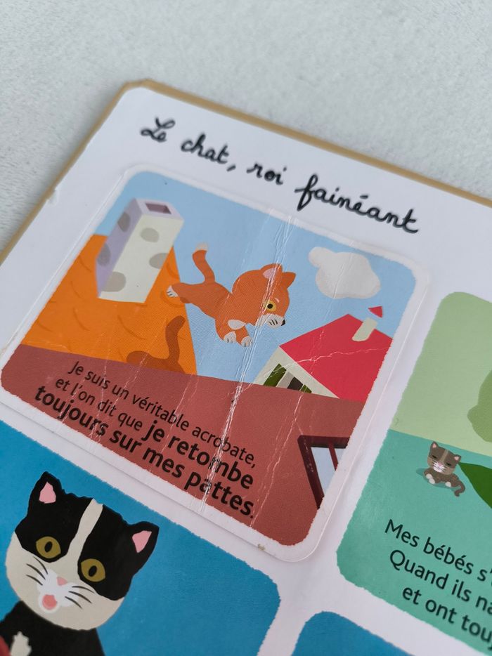 Livre Mes animaux familiers à toucher Milan - photo numéro 7