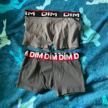 Boxer  dim neuf 8 ans